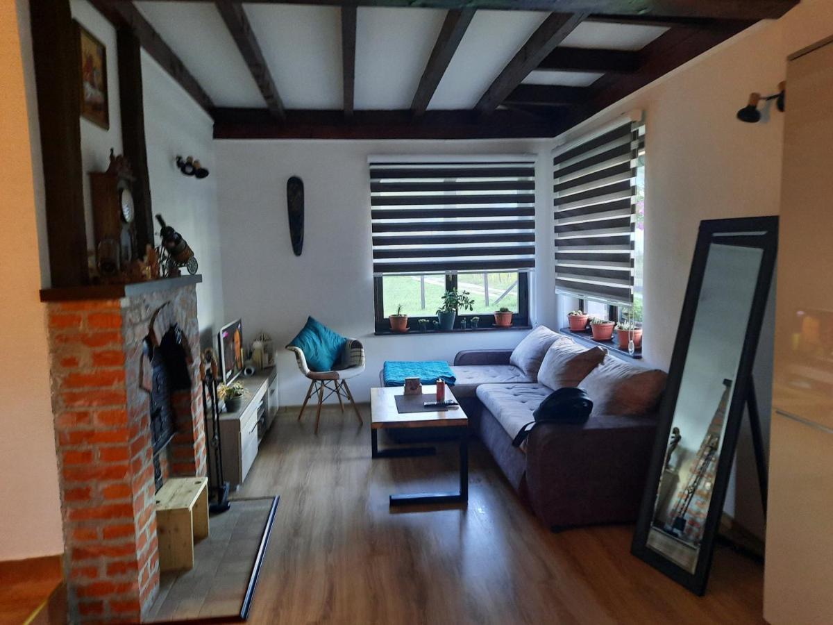 Drinski Oganj Kuca Za Odmor Bajina Basta Dış mekan fotoğraf