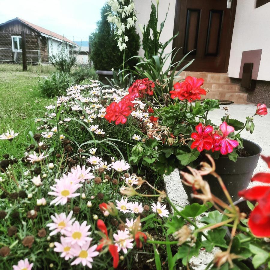 Drinski Oganj Kuca Za Odmor Bajina Basta Dış mekan fotoğraf
